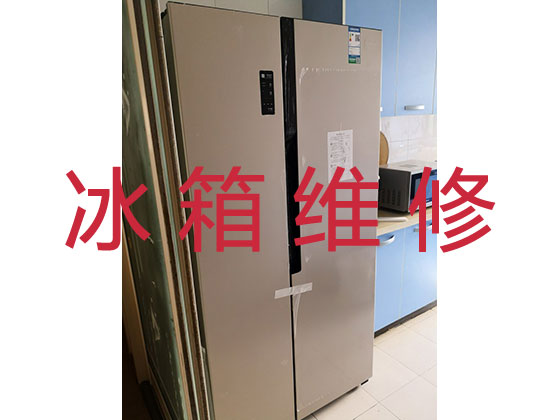 三明专业电冰箱安装